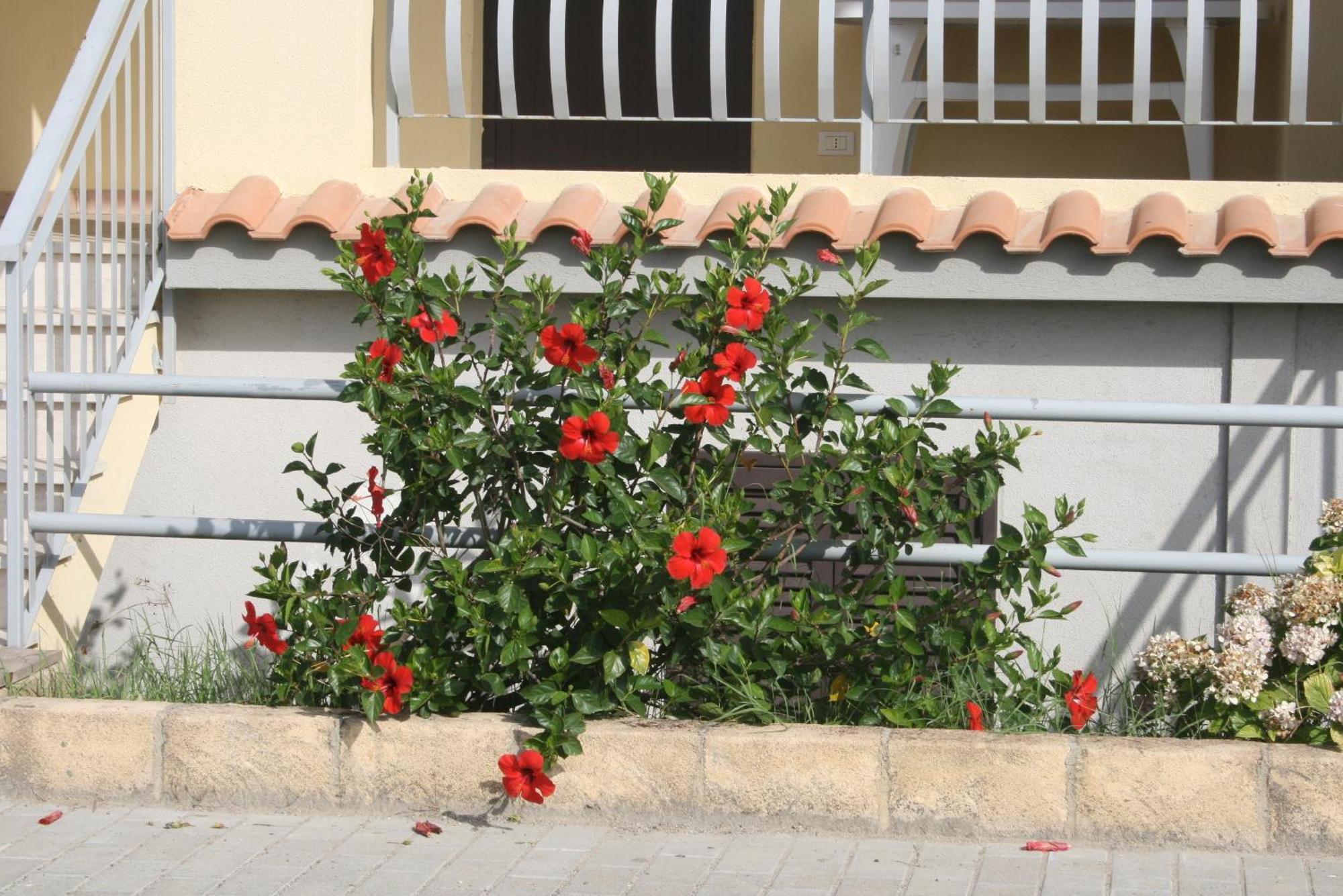 Aparthotel Baia Dei Canonici à Villaggio Le Rocelle Extérieur photo